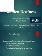 CSS Sudden Deafness.ppt