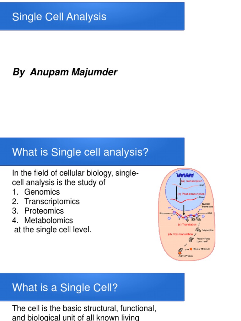 Single Cell Analysis: Techniques & Applications | PDF | Gene Expression ...