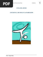 documento de apoio (ginástica de solo)