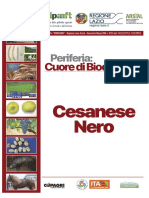 02 cesanese nero 09-16