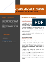 Curriculum Marcelo