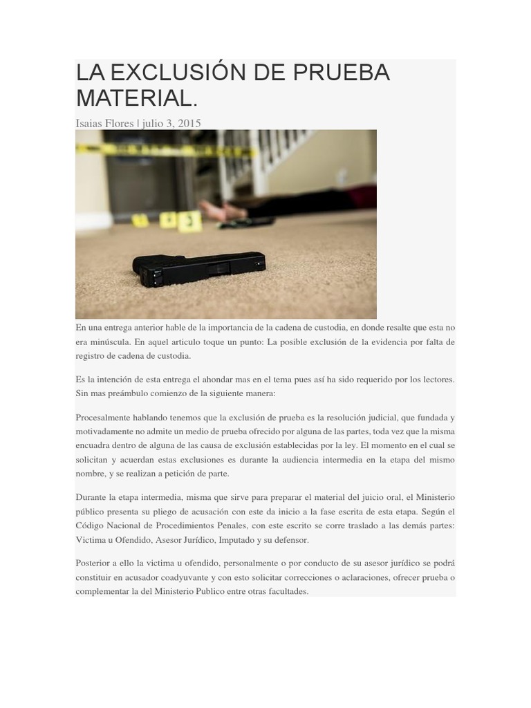 La Exclusión de Prueba Material PDF Violación Exclusión social