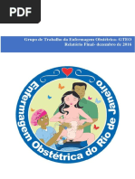 Anexo 2 - Relatório GT Enfermagem Obstétrica
