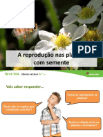 Reprodução de Plantas Com Semente