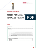 Riesgos por carga física y mental