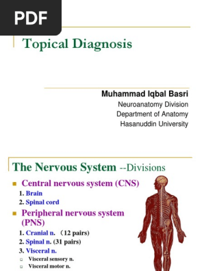 Topical Diagnosis Muhammad Iqbal Basri Motor Neuron Spinal Cord