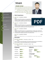 Professional CV