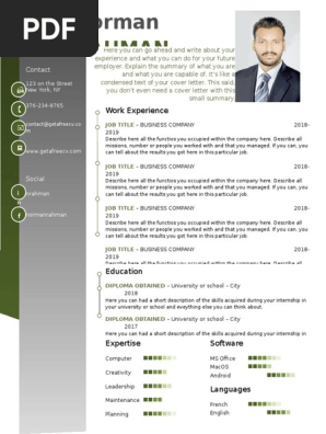 Professional Cv