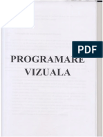 Programare Vizuala PDF