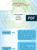 Lembaga Keuangan, Perbankan, Jenis Bank