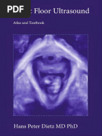 PF US Dietz 2016 (3)_unlocked.pdf