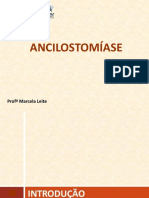 Ancilostomíase