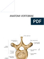 ANATOMI VERTEBRAE.pptx