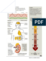 Hipertencion Arterial