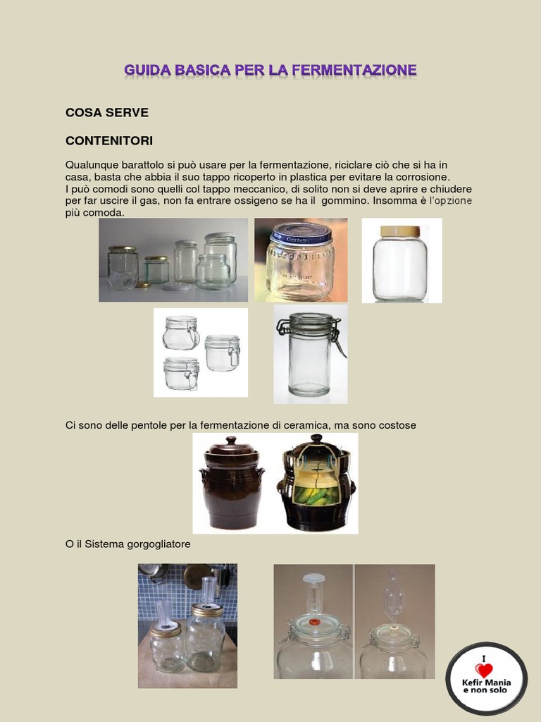 Guida Fermentazione | PDF