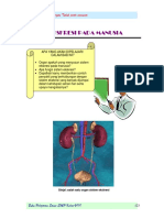 Bab VIII Sistem Ekskresi Pada Manusia PDF