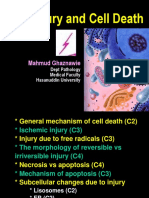Cell Injury and Cell Death: Mahmud Ghaznawie