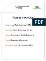 Desarrollo Del Programa de Plan de Negocios PDF