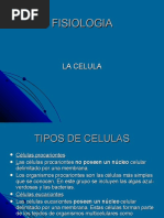celula-12002950854576-2
