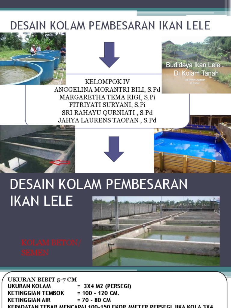 Desain Kolam Pembesaran Ikan Lele