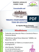Mindfulness Terapia Complementaria TDAH Adulto