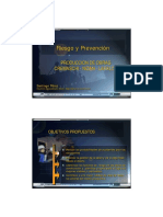 Unlp Fau Po2 Riesgo-Y-Prevencion PDF