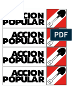 accion popular.docx