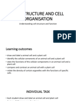 Cell Structure and Cell Organisation