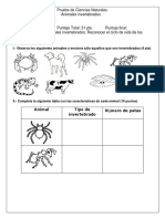 Invertebrados prueba ciencias naturales