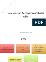 Ar#culación Temporomadibular ATM: Flga. Claudia Salas Letelier