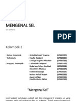 Patofisiologi