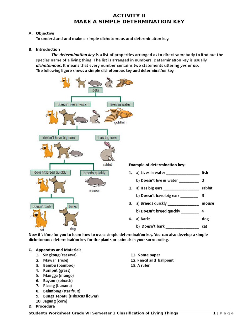 STUDENT WORKSHEET 