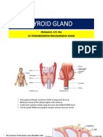 Tyroid Gland