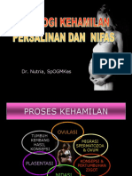 Fisiologi Kehamilan (dr Nutria).ppt