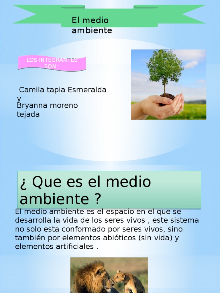 Cuidado y Consecuencias del Medio Ambiente | PDF | Entorno natural ...
