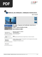 729281 Tcnicoa Auxiliar de Saude Referencial EFA