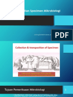 Specimen Colection Microbiology