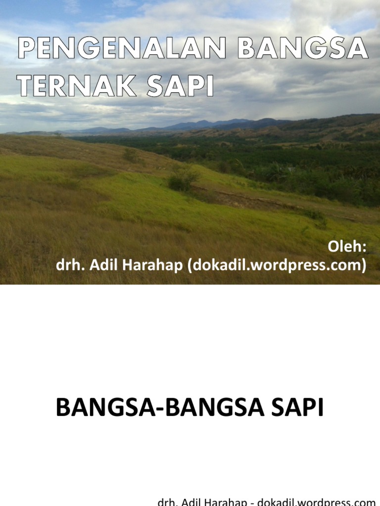 Panduan Bangsa Sapi untuk Peternak | PDF