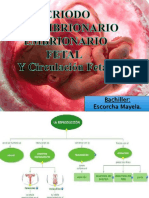 Premebrionario 170305021259 PDF