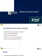 Derecho Procesal Laboral 1