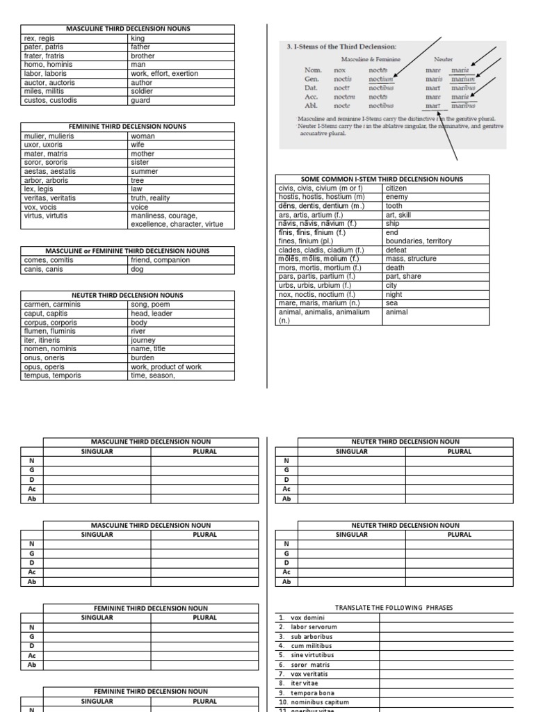 Third Declension Latin Nouns Guide | PDF | Grammatical Gender | Philology