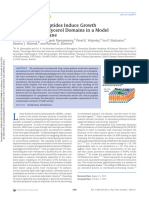 Domains PDF