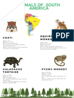 Animals of South America