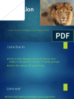 Lion.pptx