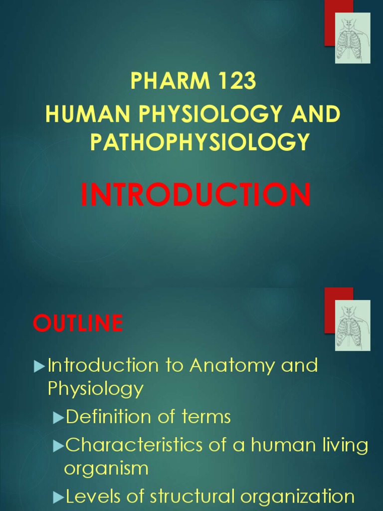 CHAPTER 1 INTRODUCTION TO HUMAN ANATOMY AND PHYSIOLOGY PDF intelligence overview