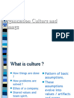 Organisation Culture and Change