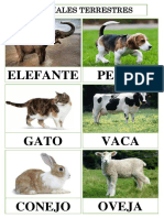 ANIMALES.docx