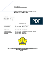 Laporan KKN Aj-134 Gampong Sarah Raya PDF