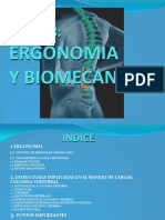 tema8ergonomiaybiomecanicasiemprepresentacion-100221181540-phpapp01.pdf