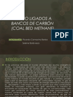 Metano Ligados A Bancos de Carbón (Coal Bed Methane)